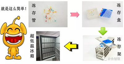 樣本凍存解決方案之凍存架、凍存盒、凍存管