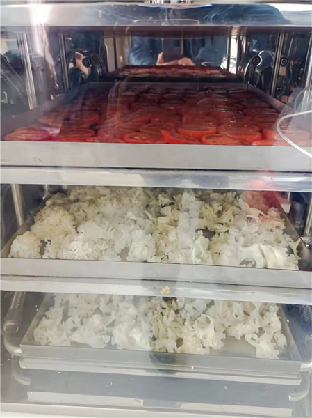 使用真空凍干機前需對物料進行預凍
