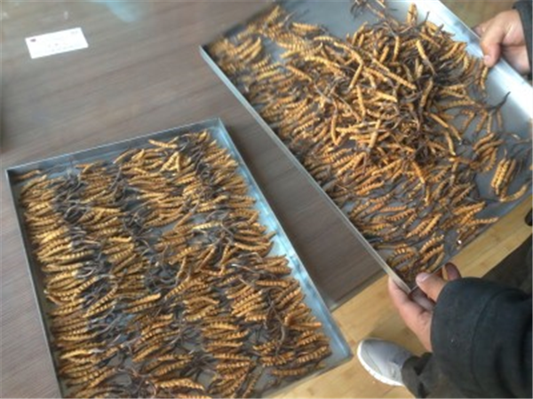 制藥凍干機(jī)中的加熱系統(tǒng)的作用是什么？
