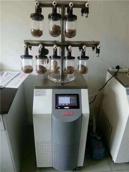實驗室立式冷凍干燥機常見故障與預防措施：從開機到運行全程管理