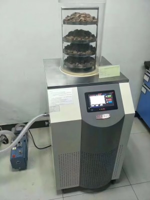 實驗室凍干機2.jpg