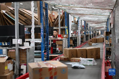 河北豐潤 打造區域性現代商貿物流產業集群 完善個人商務服務體系