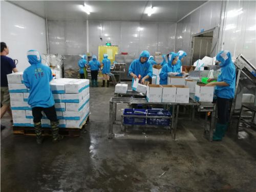 第三方專業(yè)驗廠、生產(chǎn)環(huán)境檢查與商品檢測報告及禮儀服務(wù)全解析